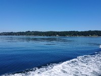DSC 0215