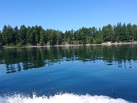 DSC 0216