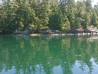 DSC 0218