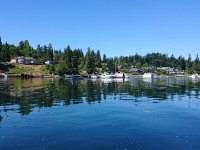 DSC 0219