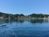 DSC 0221