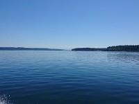 DSC 0228