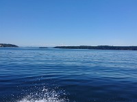 DSC 0239