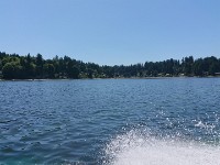 DSC 0272