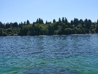 DSC 0273