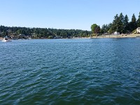 DSC 0300