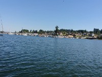 DSC 0303