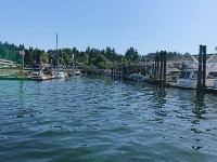DSC 0309