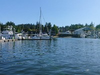 DSC 0311