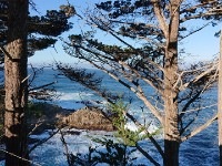 DSC 0217