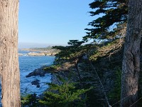 DSC 0218
