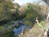 DSC 0221