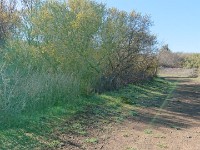 DSC 0224