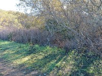 DSC 0226