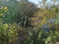 DSC 0228