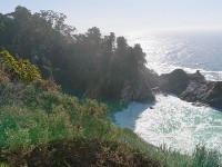 DSC 0247