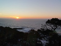 DSC 0262