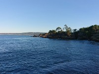 DSC 0263