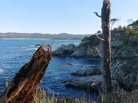 DSC 0265