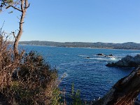 DSC 0266