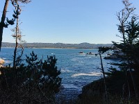 DSC 0267