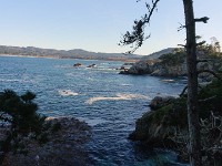 DSC 0269