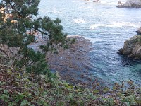 DSC 0270