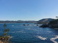 DSC 0273
