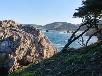 DSC 0278