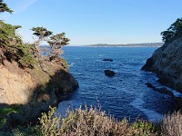 DSC 0284