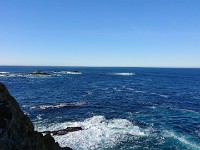 DSC 0299