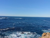 DSC 0301