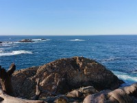 DSC 0303
