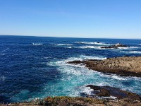 DSC 0306