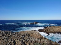 DSC 0310