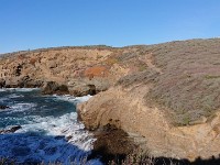 DSC 0314