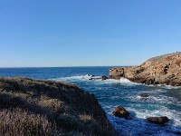 DSC 0316