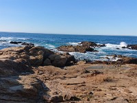 DSC 0320