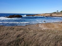 DSC 0330