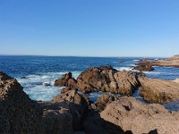 DSC 0334