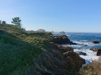 DSC 0339