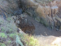 DSC 0340