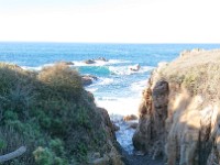 DSC 0341