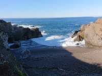 DSC 0344