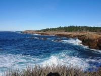 DSC 0345