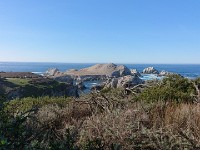 DSC 0347