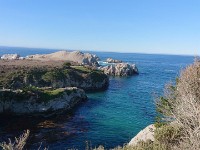 DSC 0351