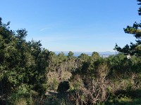 DSC 0363