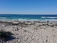 DSC 0364