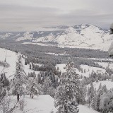 View From Breakfast Room